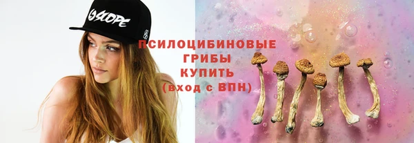 дживик Арсеньев