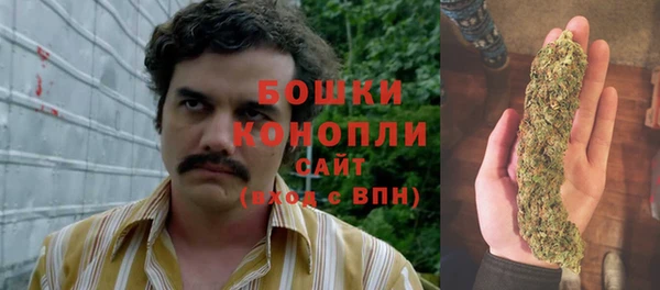 ПСИЛОЦИБИНОВЫЕ ГРИБЫ Алзамай