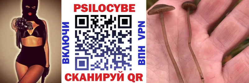Галлюциногенные грибы прущие грибы  Ак-Довурак 